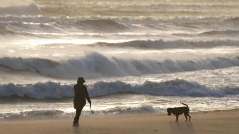 Image shows a person walking their dog on a wind swept beach at Tynemouth Longsands on the North East coast of England during Storm Éowyn on Friday 24 January, 2025