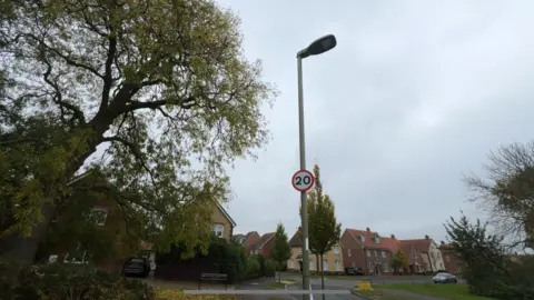 A street light against a grey sky on Great Western Park in Didcot. There is a 20mph sign on the street light, along with a large tree to the left hand side and houses in the background.