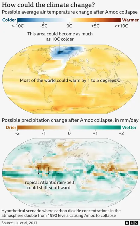 Dua peta dunia menunjukkan bagaimana pola suhu dan curah hujan dapat berubah jika AMOC runtuh setelah dua kali lipat konsentrasi karbon dioksida di atmosfer dari level 1990. Peta teratas menunjukkan bahwa sebagian besar dunia masih akan hangat dengan 1-5C, ditunjukkan oleh jeruk, tetapi area Atlantik Utara bisa dingin hingga 10c, ditunjukkan oleh blues. Peta bawah menunjukkan bahwa beberapa daerah di selatan khatulistiwa bisa menjadi lebih basah, ditunjukkan oleh sayuran hijau, sedangkan daerah di utara khatulistiwa bisa menjadi lebih kering, ditunjukkan oleh cokelat, saat sabuk hujan bergeser. 