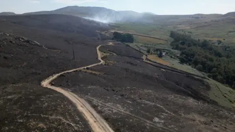 An aerial view of a scorched landscape with a path going through it 