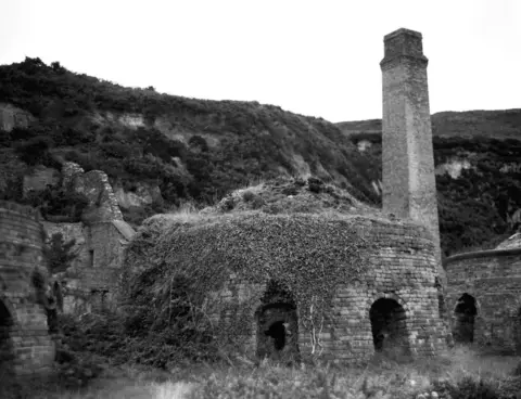 Richard Digby Porth Wen Brickworks
