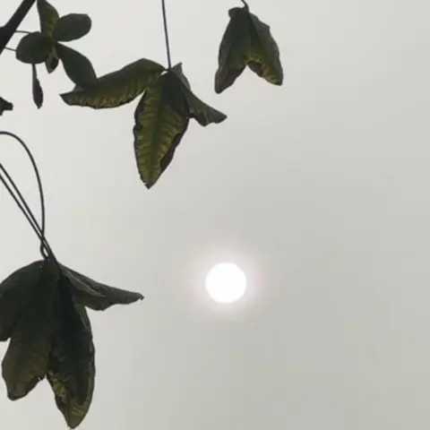 Vicky A/BBC Weather Watchers Lasswade, Midlothian