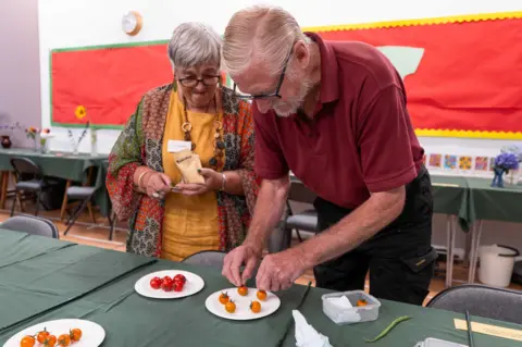 Jim Grover Laying out the tomatoes 