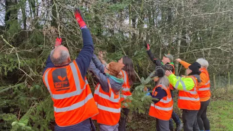 Volunteers in orange high vis vests are picking seeds from 