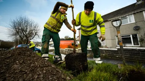 Chris Parkes Photography Tree planting