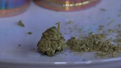 BBC Medicinal cannabis