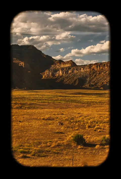 Katie Edwards Two deer in a wide open landscape with mountains in the distance