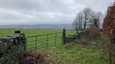 A dry stone wall with a metal gate and green field behind