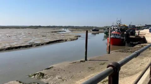 Matt Knight/BBC An estuary with the tide out has large areas of mud with boats visible in the distance.