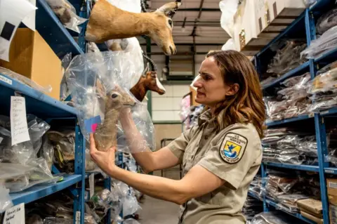 BBC Sarah Metzer holding a Duiker shoulder mount