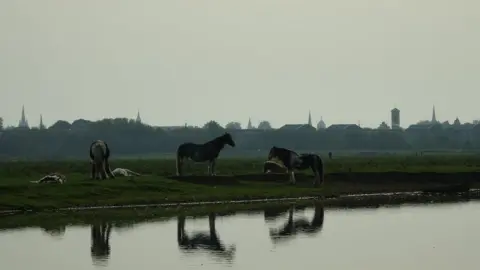 Sally Wright TUESDAY - Port Meadow, Oxford