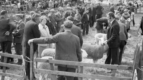 Skelton Show  A black and white picture of men in suits showing sheep 