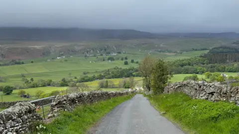 Toby the Gardener A road cuts through rolling, bright green fields in the countryside, flanked by stone walls. However, they sit under a dark grey sky, and fog obscures the distant hills.