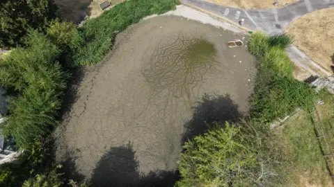 Chris Draper A drone image from above of the dried of Biddestone Duck Pond. It is a large mass of grey/brown mud surrounded by trees and grassy areas
