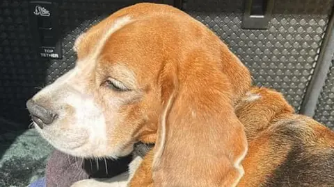 Drone to Home Malcolm