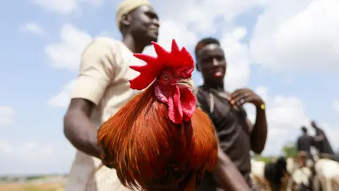 Reuters A man holds a cockerel at a market in Abuja, Nigeria - Friday 8 July 2022