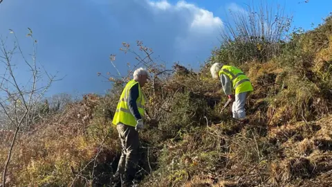 Butterfly Conservation Two people in high-visibility yellow vests are perched on the side of a steep hill under a sunny, cloudless sky, working to clear bracken.