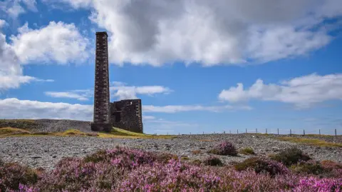 The old chimmney of Cross Vein Mine, near Foxdale. There are cloudy skies above, and heather in the foreground. 
