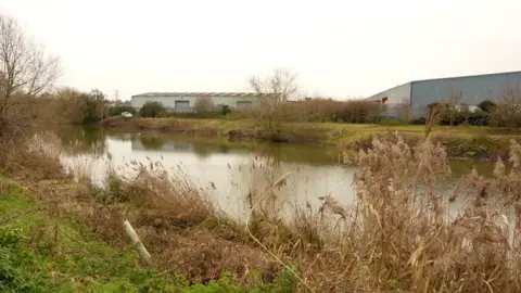 Alex Dunlop/BBC River Gipping