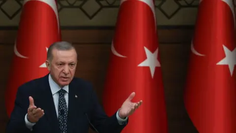 AFP Image of Recep Tayyip Erdogan in front of Turkish flags