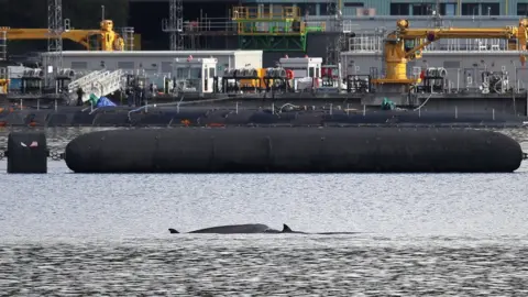 PA Media Whales near Faslane