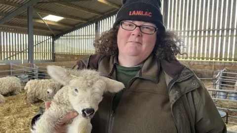 BBC A women holding a baby lamb in a barn on a farm