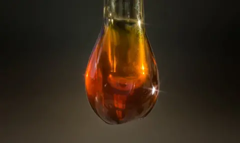 Stuart Hay/ANU Oldest oil