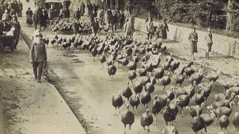 Attleborough Heritage Group A sepia photo of some 200 turkeys walking along a road. Two herders or drovers wearing flat caps, are inbetween the turkeys. The street is a busy one with several people in formal hats, suits and coats are walking on pavements either side of the road. A child being pushed in a pram is peering out at the birds. A car can be seen in the background behind the turkeys.
