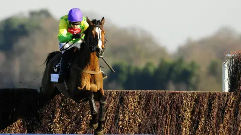 A racehorse jumping over a hedge, with a jockey wearing green yellow riding him.