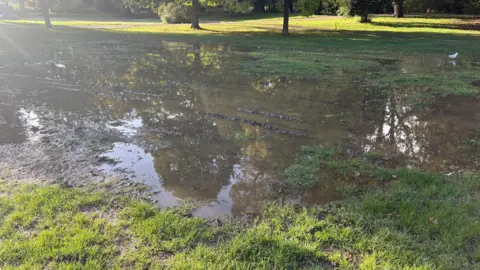 Ben Fryer/BBC Large pools of mud with grass around.