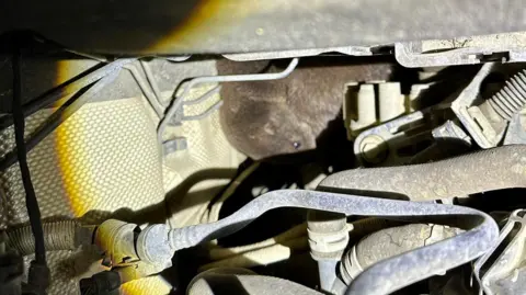 Cleethorpes Wildlife Rescue The otter is stuck at the back of a car engine, obstructed by pipes and wires. He is lit up using the camera's flash