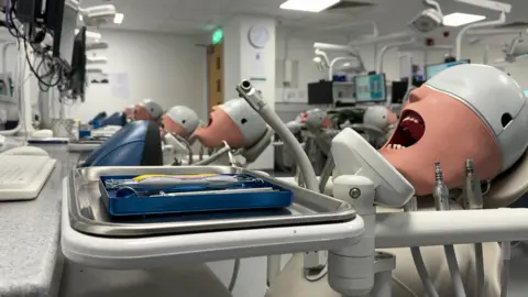 A line of plastic heads with open mouths lined up in a teaching area for dentists