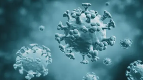 Getty Images Flu virus