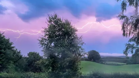 Gareth McFarland Lightning across the sky. The sky is a purple-blue color. Below are trees and grass.