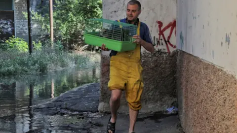 Reuters Cats, dogs, cows and other animals have been rescued by Kherson residents as water sweeps through the region