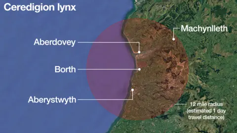 Map showing the area the lynx is thought to be in