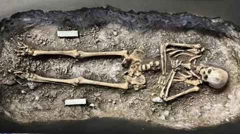 A scale model of a complete human skeleton in the ground
