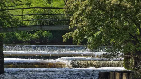 Colin Lennox-Gordon MONDAY - A fast-flowing Rover Stour photographed by a bridge at Fiddleford, with a green tree in the foreground