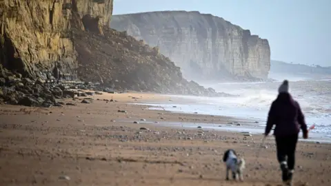 Getty Images A woman walks a dog on East Beach at West Bay, which has flat sand and high cliffs with a large rockfall in the distance.