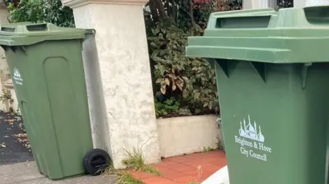 Two green wheelie bins on the pavement at the end of a garden path. 