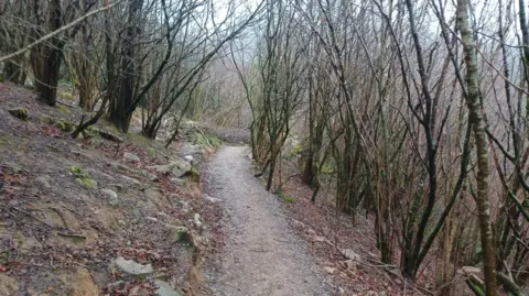 Daniel Mumby/LDRS A woodland path surrounded by bare trees on a cloudy day