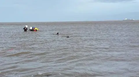 Wirral Coastguard Two people with blanked-out faces can be seen being rescued by coastguard officers, with two dogs nearby in the water.