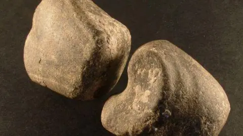 Wiltshire Museum Two pieces of a smoothed stone that was one a battle axe.