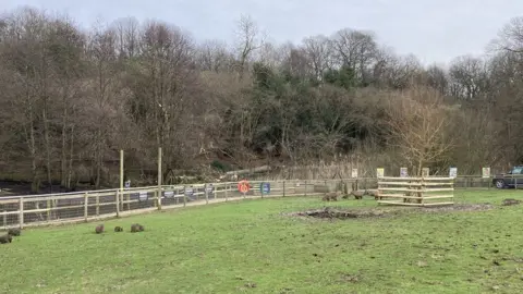 Andrew Woodger/BBC Capybara enclosure and fallen tree at Jimmy's Farm & Wildlife Park, Wherstead, Suffolk