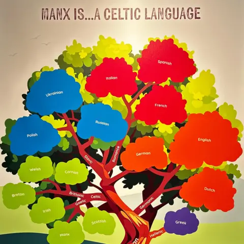 A colourful tree with branches featuring languages and their connection to each other.