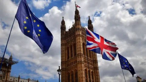 Getty Images Flags outside Parliament