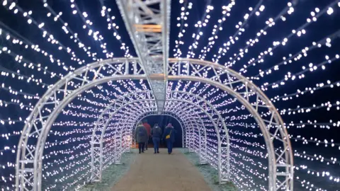 Everybody Smile Photography Light show at Coombe Abbey Park