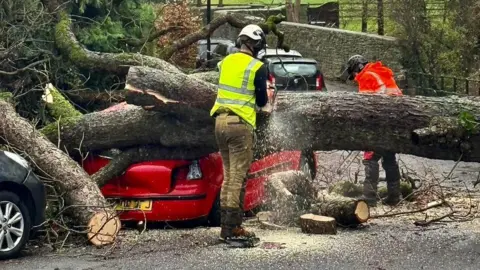 Two people are cutting up a tree that has fallen across a road in Bath. It has fallen onto a red car and damaged its boot.