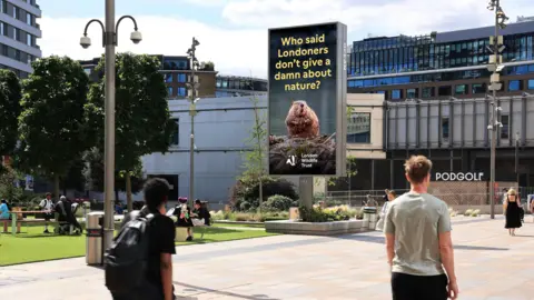 Jack McPartland/Ocean Outdoor A tall digital screen in an outdoor shopping plaza shows a beaver beside its dam and the slogan "Who said Londoners don't give a damn about nature?", with the London Wildlife Trust logo. Two people walk past.