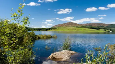 A Galloway loch with trees in the foreground and green hills in the distance
